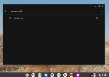 Instalación de la App en Chrome OS - Paso 2